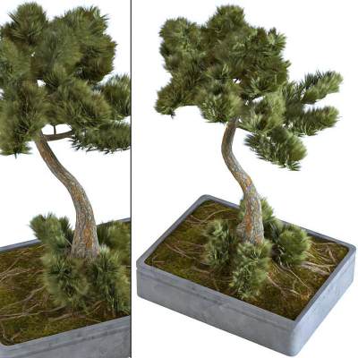 现代植物景观造景